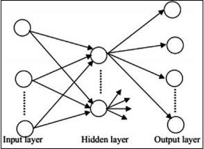 神经网络族的基本单元