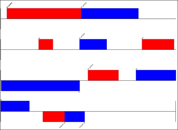 Biopython基因组分析