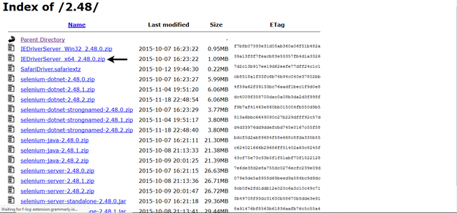 Selenium WebDriver在IE浏览器上运行测试