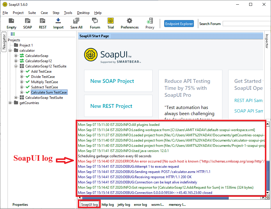 SoapUI Response and Logs Pane