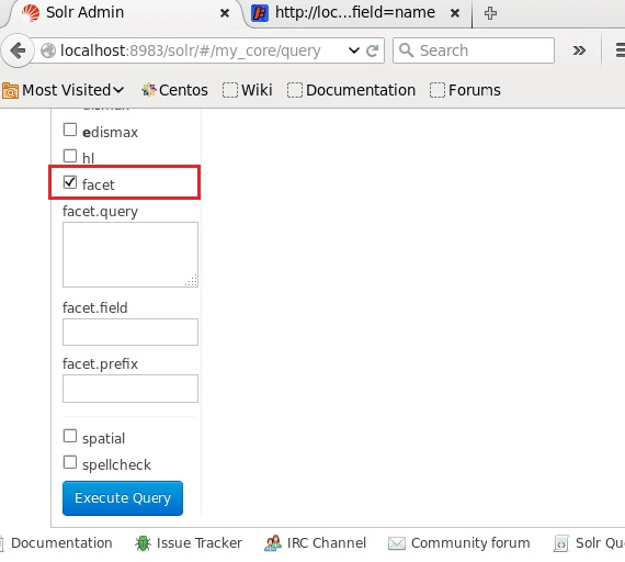 Apache Solr Faceting