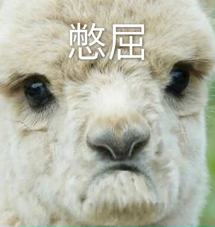 My Image 38