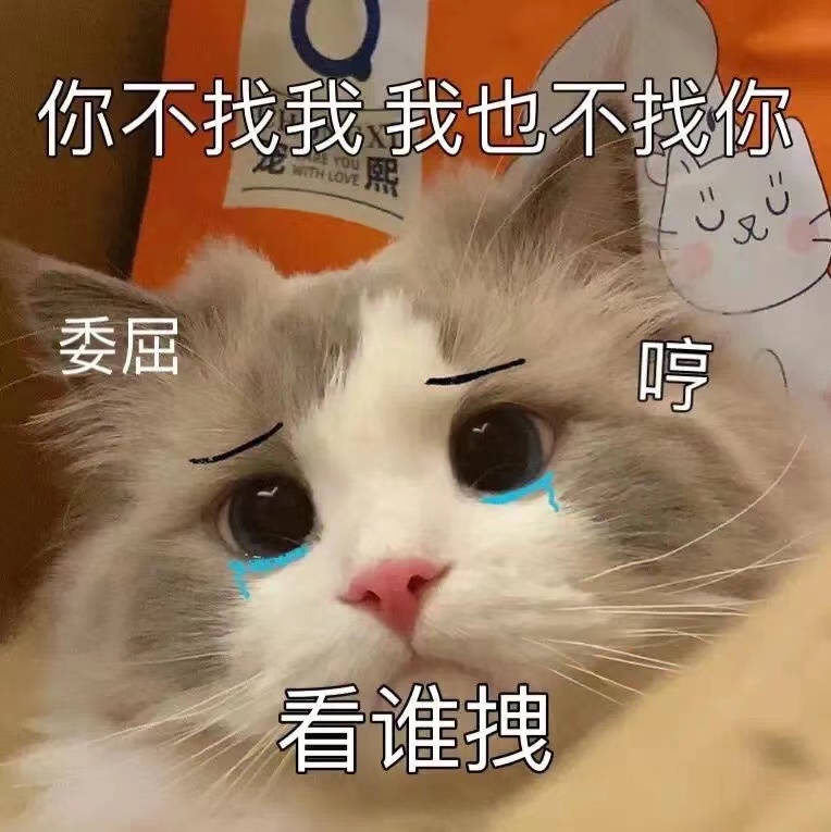 My Image 39
