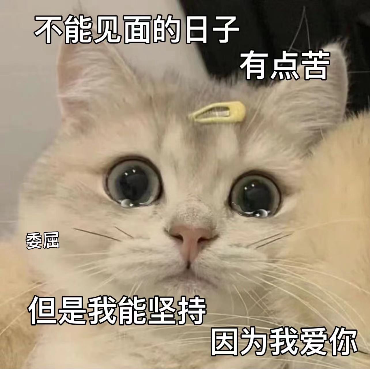 My Image 37