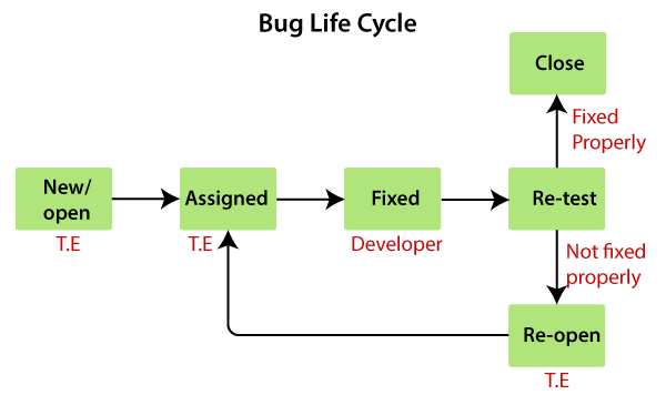 Bug Life cycle