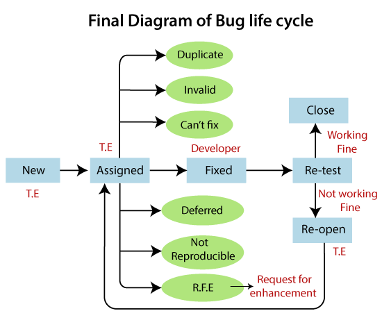 Bug Life cycle