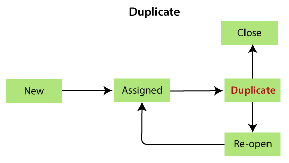 Bug Life cycle