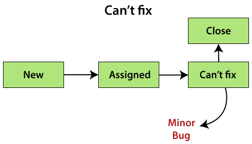 Bug Life cycle