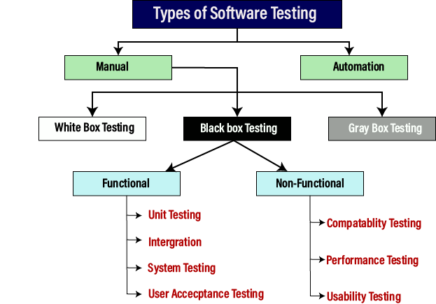 Software Testing 