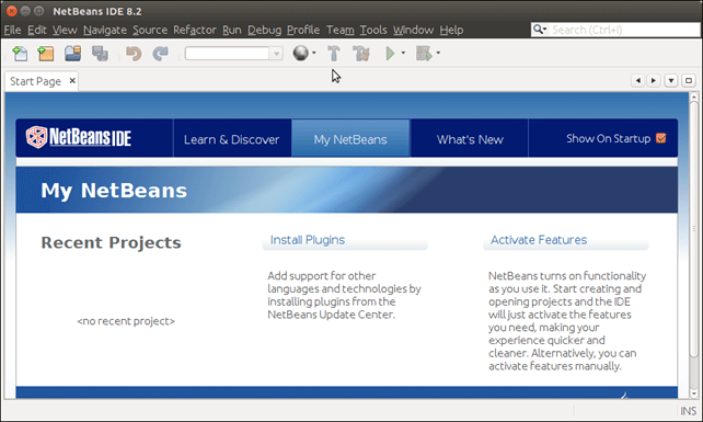 Software Netbeans 12