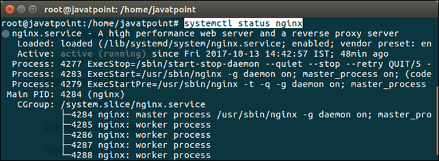 Software NGINX 3